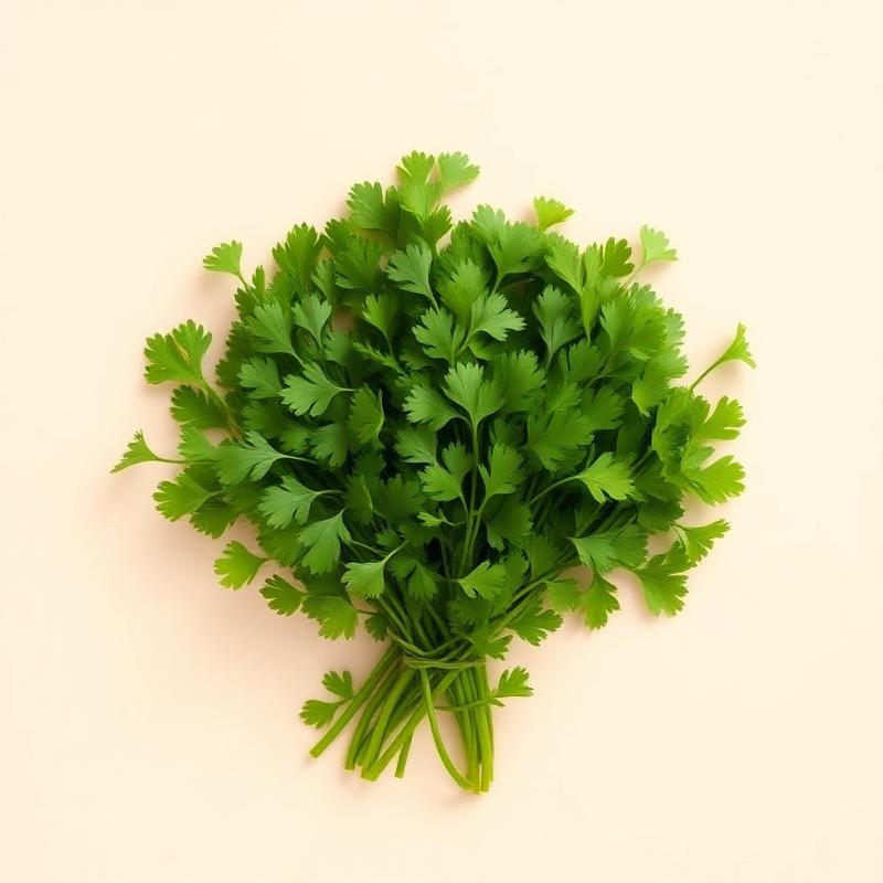 Coriander Leaves